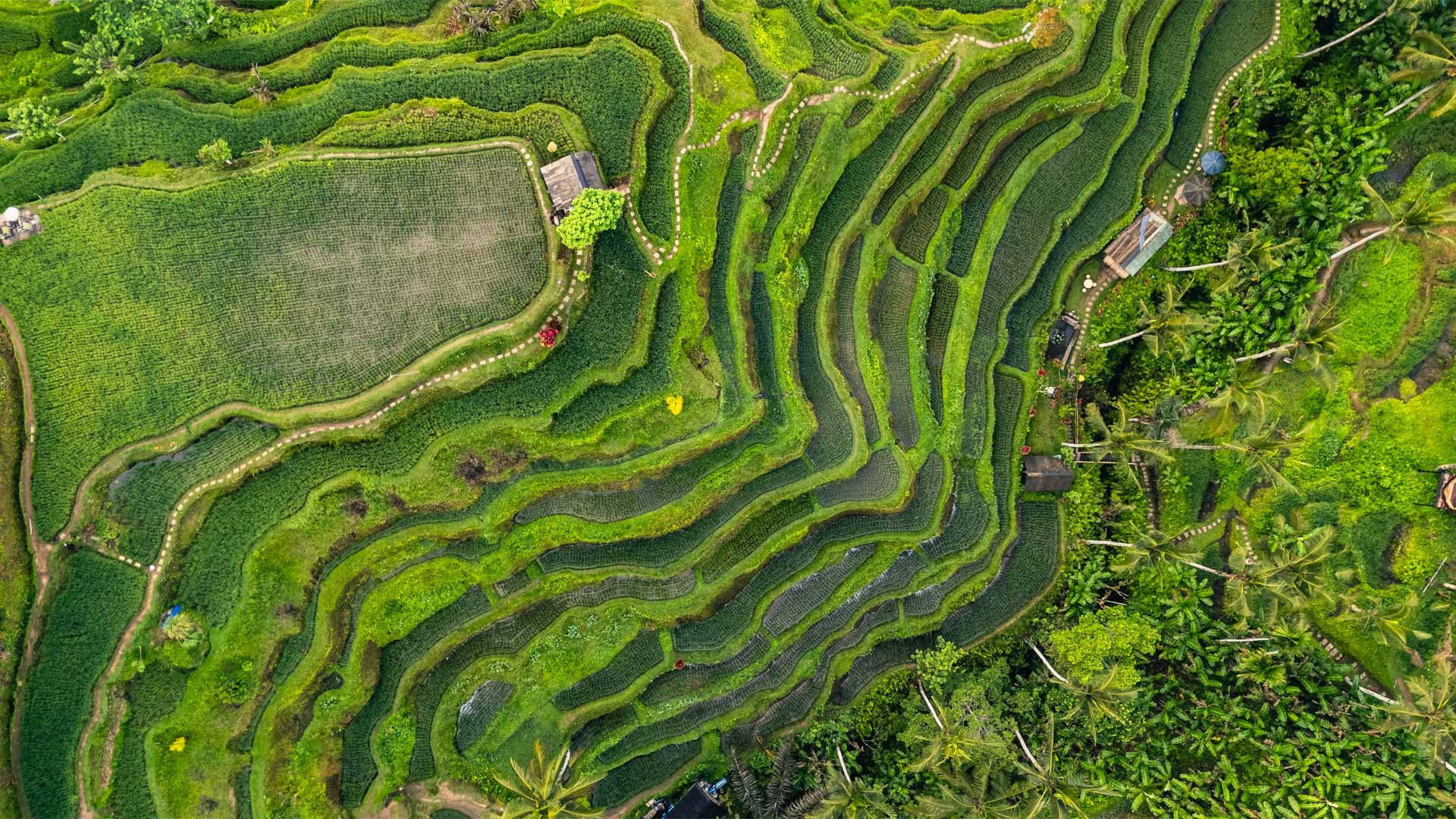 Our Five-Night Luxury Escape to Ubud